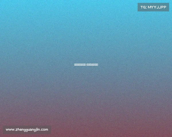 散打赛事计划商家-散打比赛策划方案